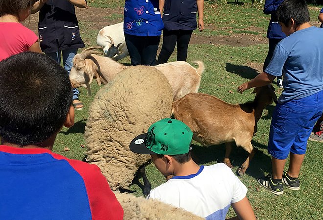 granja_reg06_02-03-2017_03